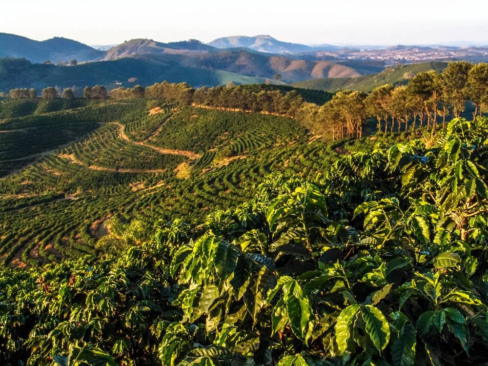 Sul de Minas region of Brazil